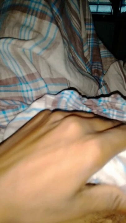 Homo sex