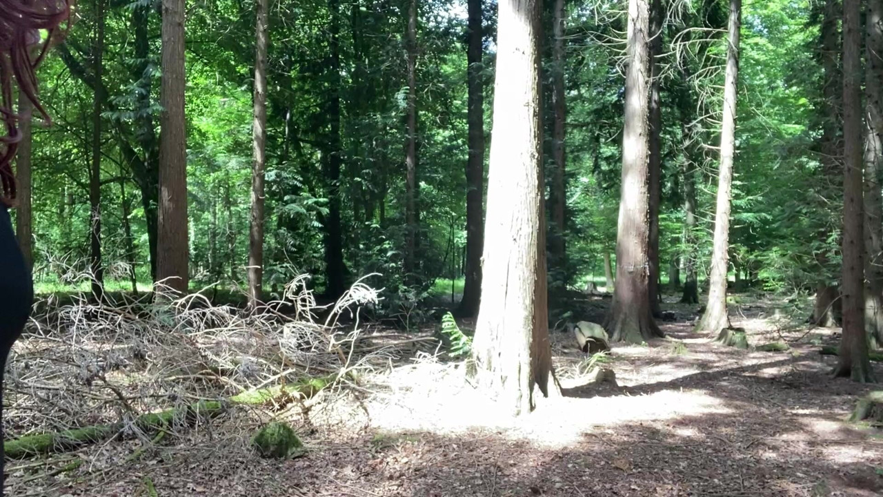 Steffi in the forest