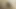 Desi bhabhi ne video sexy, hot bhabhi ki chodai, hot nippa desi bhabhi, sexi bhabhi ka khada nipple chus ke maja aaya