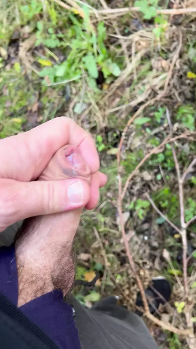 Quick wank and cum in the woods