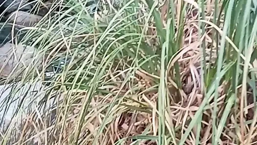 Anal di sungai saat mendaki