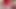 Lady in red! Tranny has a hot cumshot with finger in ass !!