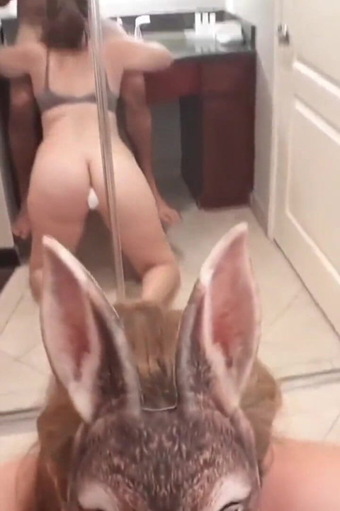 Bunny Blowjob