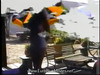 Pregled videozapisa