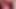 Sucking and Tonguing Cock