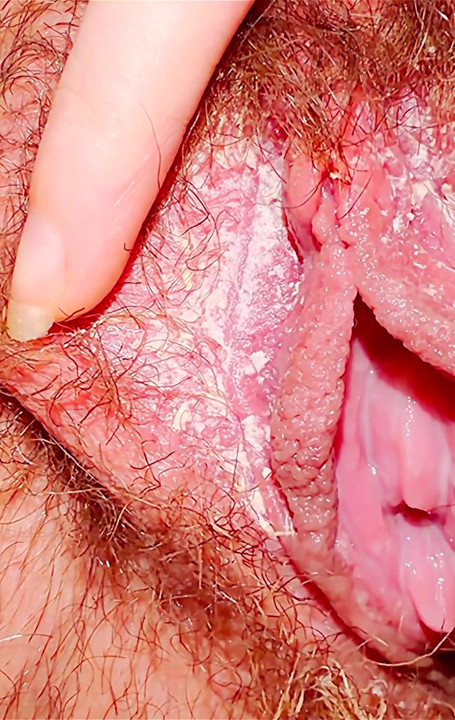 Creamy Pussy in Close-up.