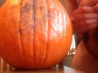 Pumpkin fuck