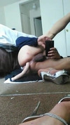 Pregled videozapisa