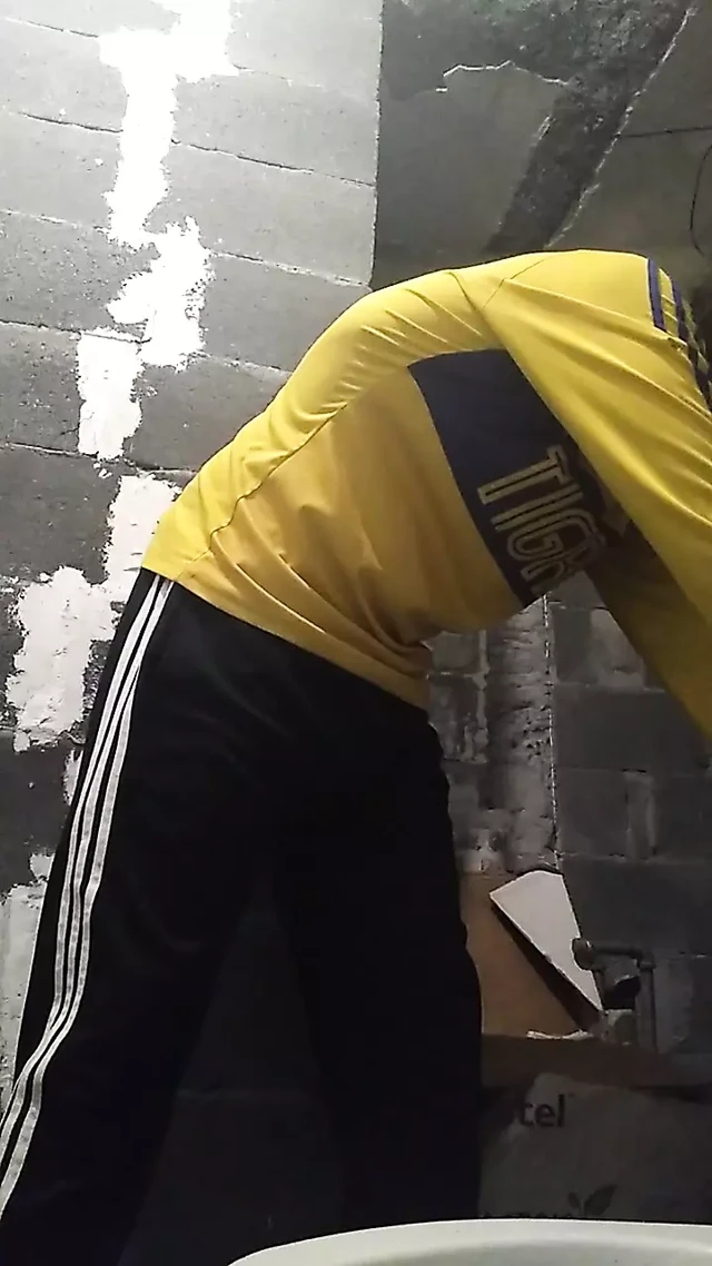 A Meada in the Toilet