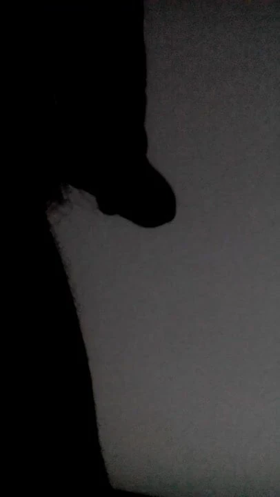 Shadow and real