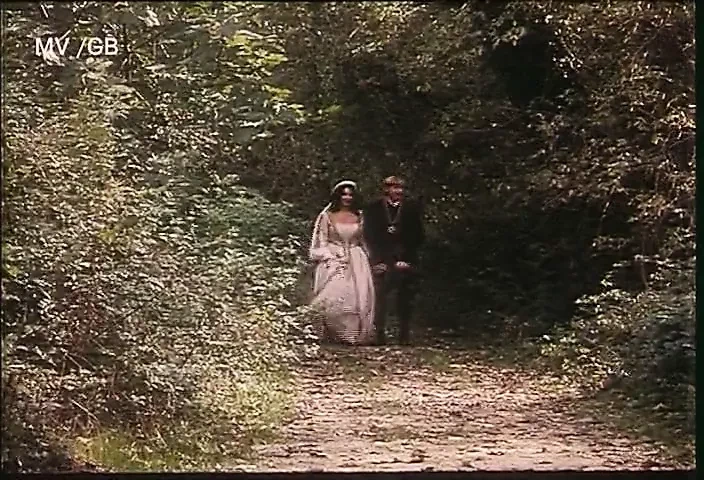 哈姆雷特：为了奥菲莉亚的爱（1995）Eng