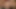Cumshot on MILF tits