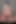 Seksi gençler büyük bir yarak emmek için takım oluyor