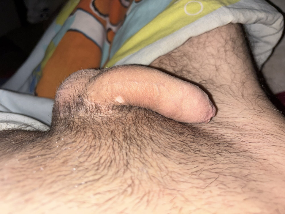 Dick dick play