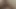Trans man in doggystyle masturbating and fucking his pussy