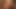 ホットセクレタリーからフェラチオを受ける