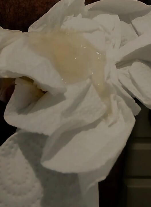 My huge cumshot. (On 7 sheets of paper towel)