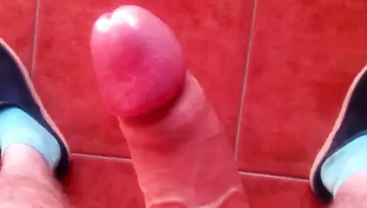 apresentacoes feitas