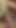 Stunning moment from "typ angekettet wird von blonden und brunetten milf hart durch gefickt"