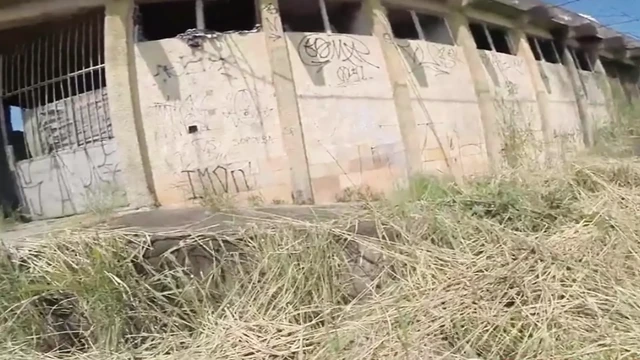 Tattooed jumps over the wall to jerk off