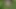 Ich spioniere ein zerbrechliches Mädchen aus, das sich im Wald umzieht und squirtet!