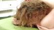 Pratinjau video