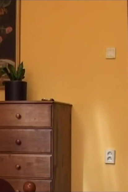 Pregled videozapisa