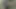 Masturbation in the forest while almost being caught