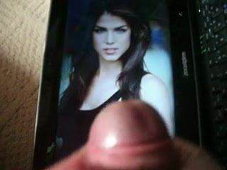 Hołd dla marie avgeropoulos