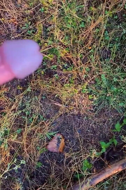 Enjoying Nature!