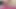 Curious Goddess - blonde milf big ass hairy pussy masturbating sucking dick fucking doggystyle