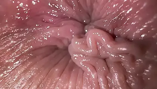 Close-up pantat meraba dan bicara kotor, orgasme masturbasi anal