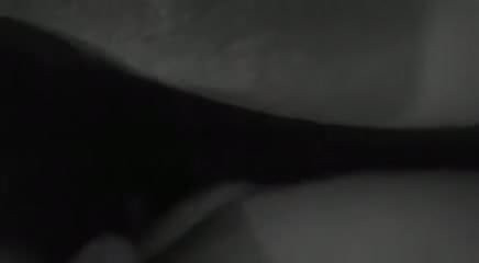 ブラックバイブ