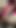 Jaw-dropping moment from "Newly married tanya bhabhi enjoying sex in his bedroom when his husband was not in house."