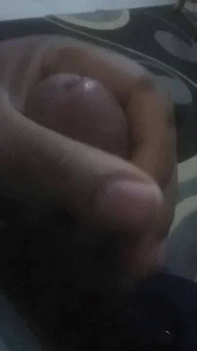 zebi 2