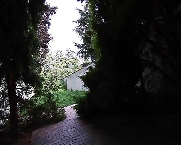 Several French whores sharing big dick in outdoor orgy fuck