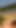 Stunning moment from "A cute runner takes a break to suck a huge cock in the forest"
