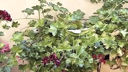 Petite Granny From France Pounded in Anal Threesome
