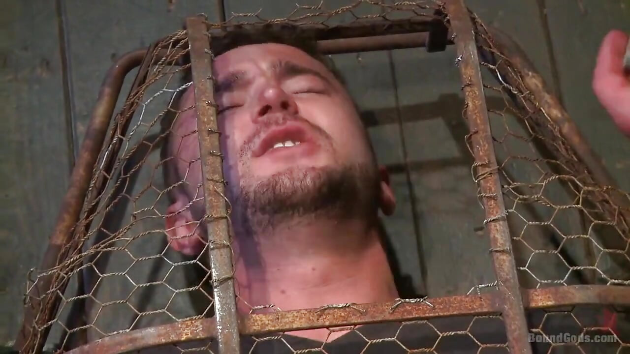 Powerless and Caged Like an Animal