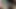 Hint boğa ve rani mandela