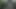 Almost Got Caught Solo Male Masturbation Outdoor In The Woods !