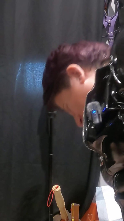 Pet Play Praise and pet Collar Training