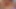 BBW-MILF facesitting mit ihrem sub und belohnt ihn mit 69 blowjob