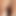 ドナ・ルーペの薔薇、処女2/2