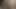 beyaz sarışın emme bbc