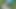 グラス🌿フラットシューズ、ノーショーソックス、おしっこでの足遊び