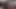 I Shot It for You, Natural, Instant Real, Don't Forget to Like and Comment