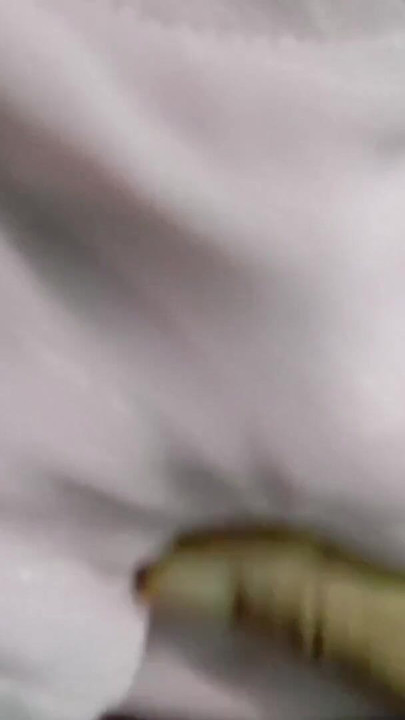 Nezaboravan trenutak iz filma "Jedem susjedovu seksi ženu"