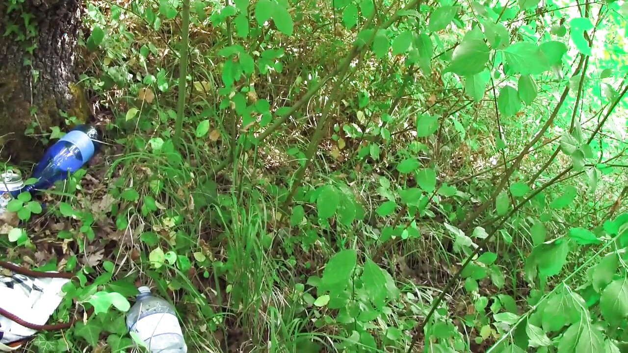 Young Sadist Whips an Old Pig Tied up in the Woods