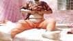 Pregled videozapisa